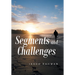Segments and Challenges