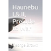 Haunebu I & II, Prelude to War