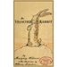 The Velveteen Rabbit: The Original 1922 Edition in Full Color