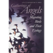 Gatherings of Angels: Migrating Birds and Their Ecology