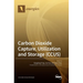 Carbon Dioxide Capture, Utilization and Storage (CCUS)