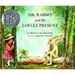 Mr. Rabbit and the Lovely Present: A Caldecott Honor Award Winner