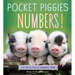 Pocket Piggies Numbers!: Featuring the Teacup Pigs of Pennywell Farm