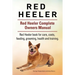 Red Heeler Dog. Red Heeler dog book for costs, care, feeding, grooming, training and health. Red Heeler dog Owners Manual.