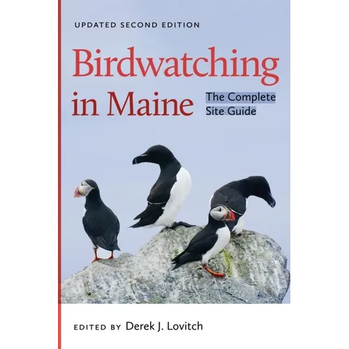 Birdwatching in Maine: The Complete Site Guide
