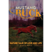 MUSTANG BUCK NATURE TALES of LOVE and LIFE
