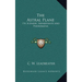 The Astral Plane: Its Scenery, Inhabitants and Phenomena
