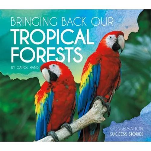 Bringing Back Our Tropical Forests