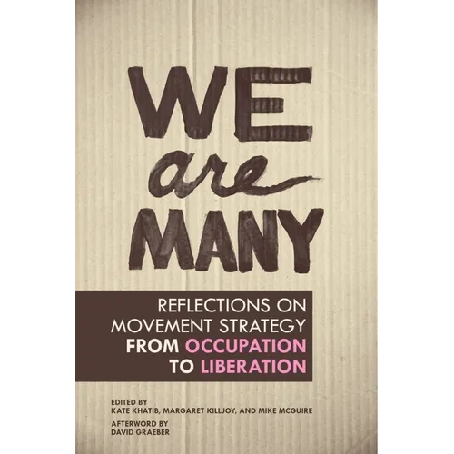 We Are Many: Reflections on Movement Strategy from Occupation to Liberation