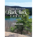Grandpa's Memories of the Black Rock Forest