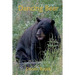 Dancing Bear