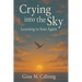 Crying into the Sky: Learning to Soar Again