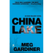 China Lake: An Evan Delaney Novel