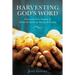 Harvesting God's Word: Discovering God's Original & Intentional System of Sowing & Reaping