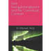 Dark Energy, Entanglement and the Cosmologic Constant