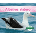 Albatros Viajero (Wandering Albatross)