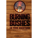 Burning Bushes in Your Backyard
