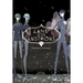 Land of the Lustrous 9