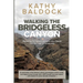 Walking the Bridgeless Canyon: Repairing the Breach between the Church and the LGBTQ Community