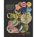 Chrysalis: Stories