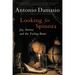 Looking for Spinoza: Joy, Sorrow, and the Feeling Brain