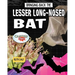 Bringing Back the Lesser Long-Nosed Bat