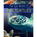 The Epic World Of Sea Turtles