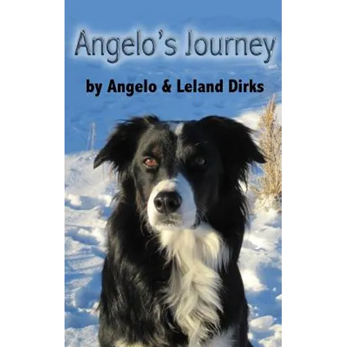 Angelo's Journey: A Border Collie's Quest for Home