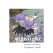 Invitation to Insight: Meditative Poems by Stephanie Noble