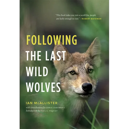 Following the Last Wild Wolves