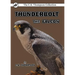 Thunderbolt the Falcon