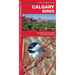 Calgary Birds: A Folding Pocket Guide to Familiar Species