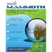 Math Mammoth Grade 8-A Worktext, Canadian Version