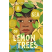 A Sea of Lemon Trees: The Corrido of Roberto Alvarez