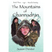 The Mountains of Channadran: Wizard's Destiny