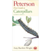 Peterson First Guide to Caterpillars of North America
