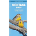 Montana Birds: A Folding Pocket Guide to Familiar Species