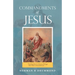 Commandments of Jesus: "Teaching Them to Observe All Things That I Have Commanded You ..."
