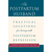 The Postpartum Husband: Practical Solutions for Living with Postpartum Depression