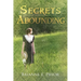 Secrets Abounding: The Unforgotten Past: The Continuing Story