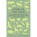 Music of the Wild - With Reproductions of the Performers, Their Instruments and Festival Halls