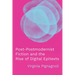 Post-Postmodernist Fiction and the Rise of Digital Epitexts
