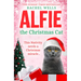 Alfie the Christmas Cat
