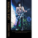 Live To Win - A Casual Guide To The Music Of KISS Frontman Paul Stanley