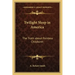 Twilight Sleep in America: The Truth about Painless Childbirth
