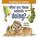 What Are These Animals Doing?