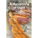 A Symphony of Light: My Journeys Within the Tree of Life