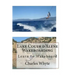 Lake Couer d'Alene Wakeboarding: Learn to Wakeboard