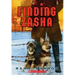 Finding Zasha