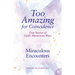 Miraculous Encounters: True Stories of God's Mysterious Ways